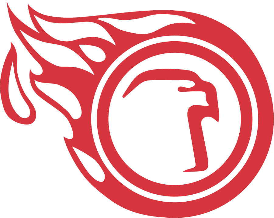 Liberty Flames 1984-1985 Primary Logo diy iron on heat transfer